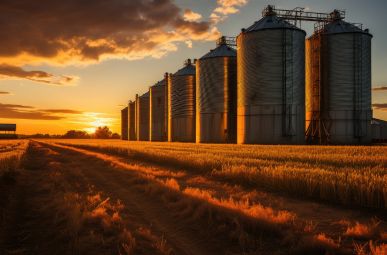 What is silo and its types